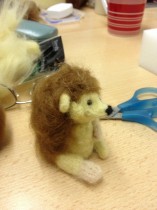 student's hedgehog