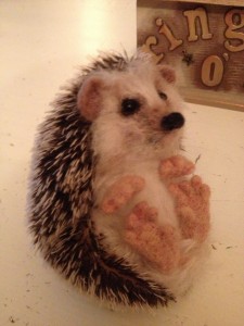 Mohair and needle felted hedgehog